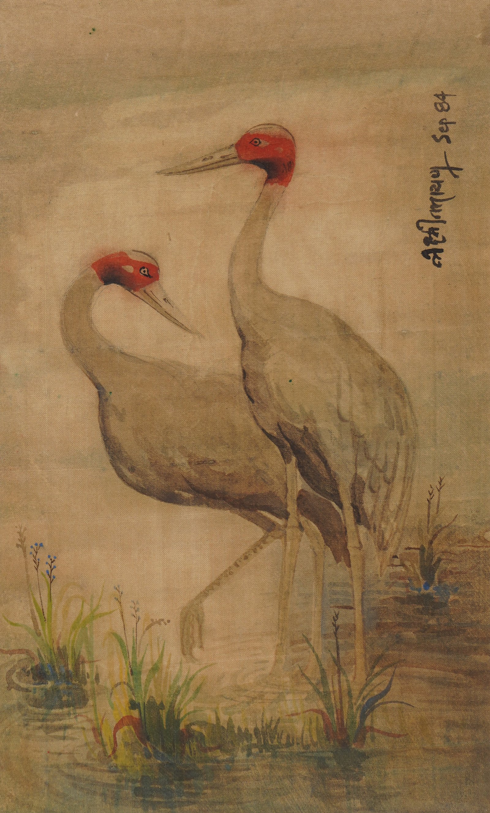 Sarus crane